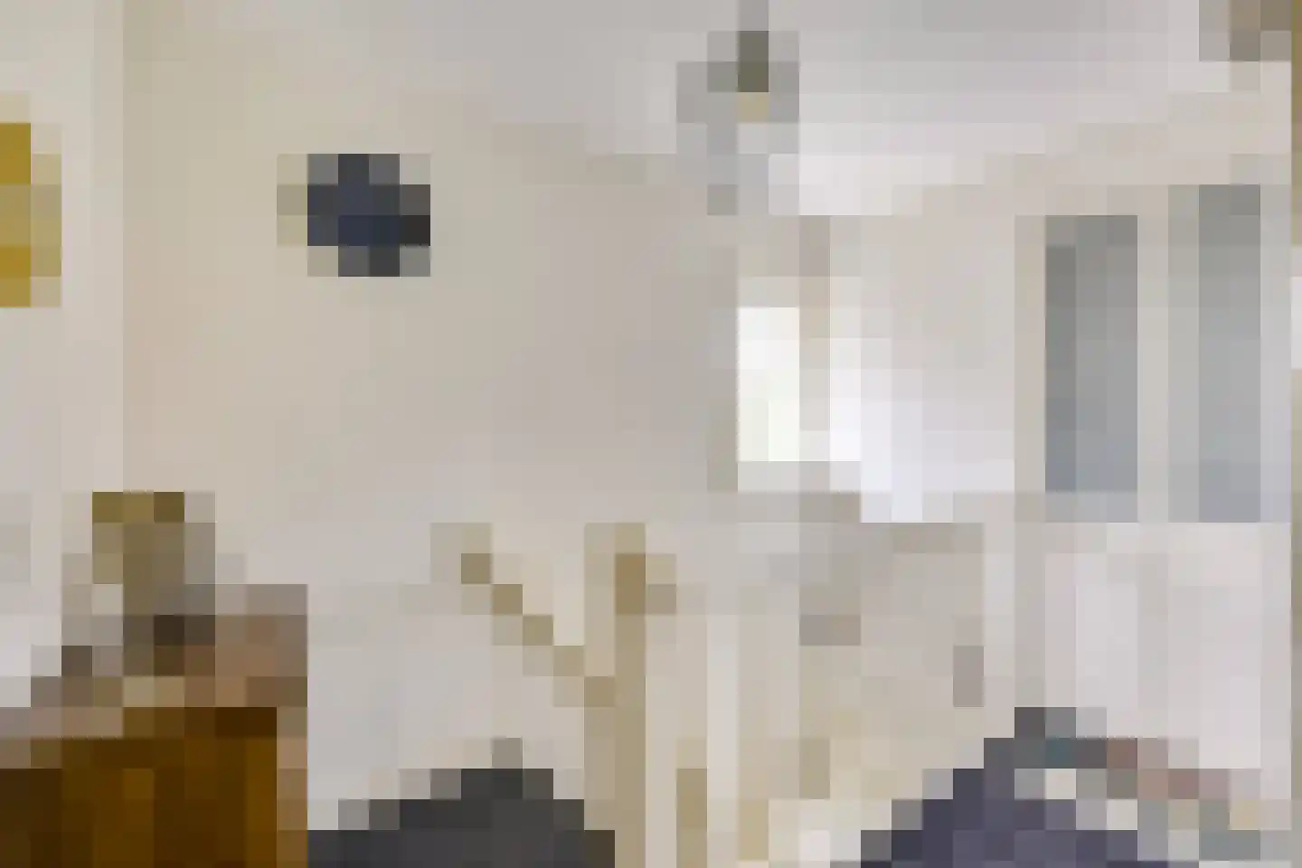 Bilderdijklaan 15 Zeist thumbnail 26