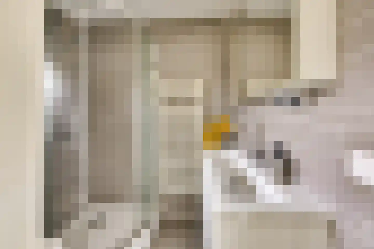 Bilderdijklaan 15 Zeist thumbnail 30