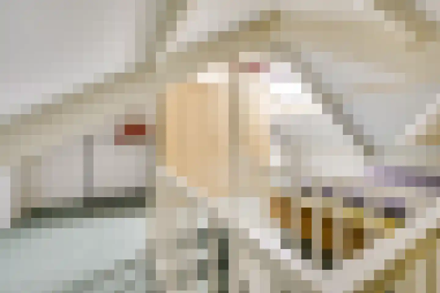 Bilderdijklaan 15 Zeist thumbnail 35
