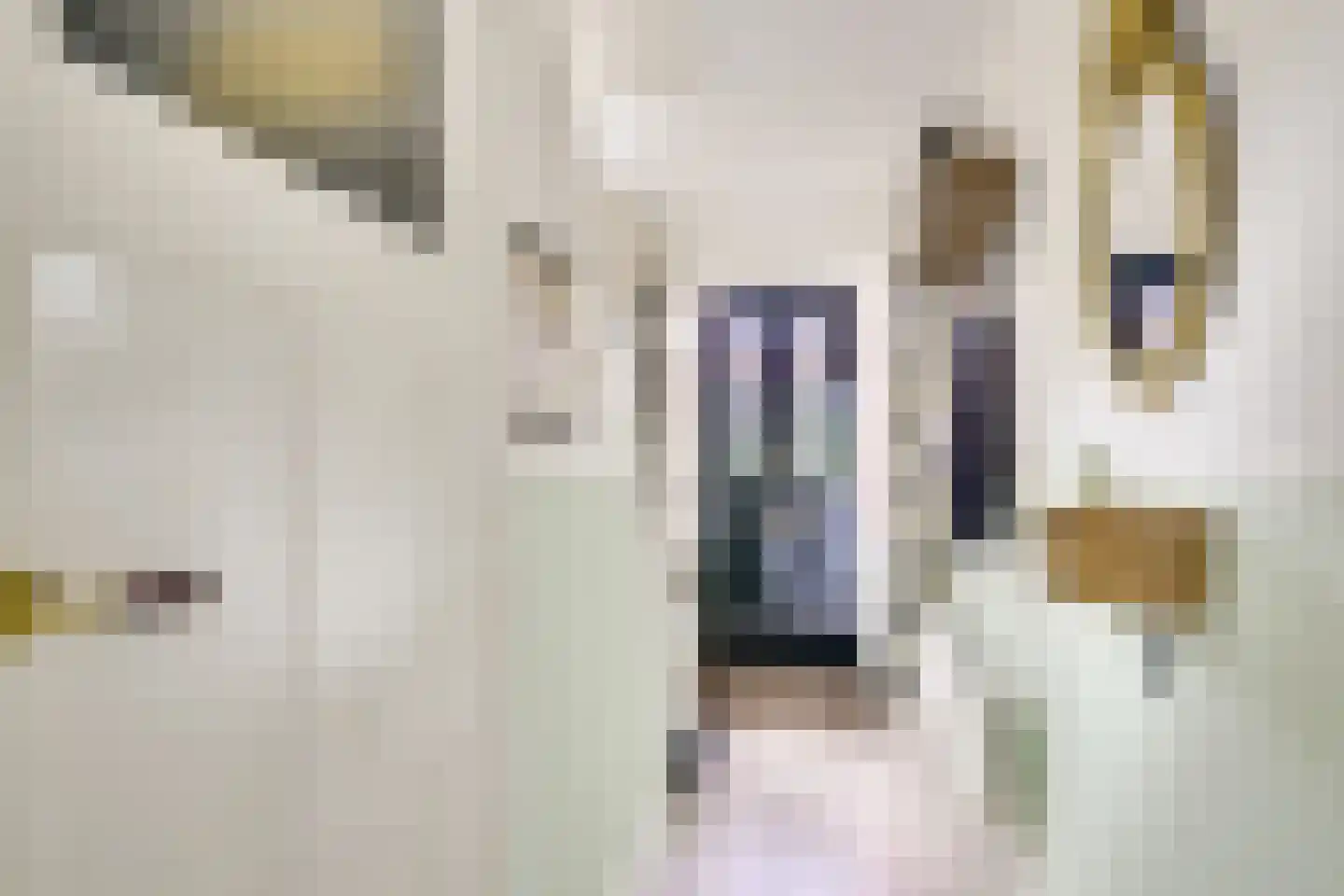 Bilderdijklaan 15 Zeist thumbnail 4