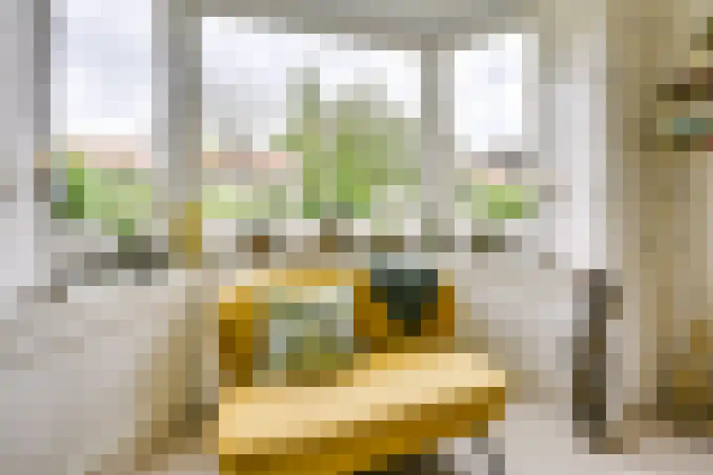 Bilderdijklaan 15 Zeist thumbnail 9