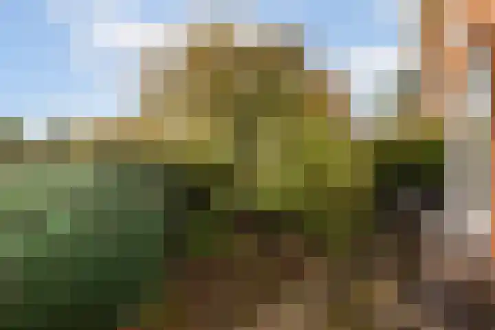 Bilderdijklaan 16 Amstelveen thumbnail 10