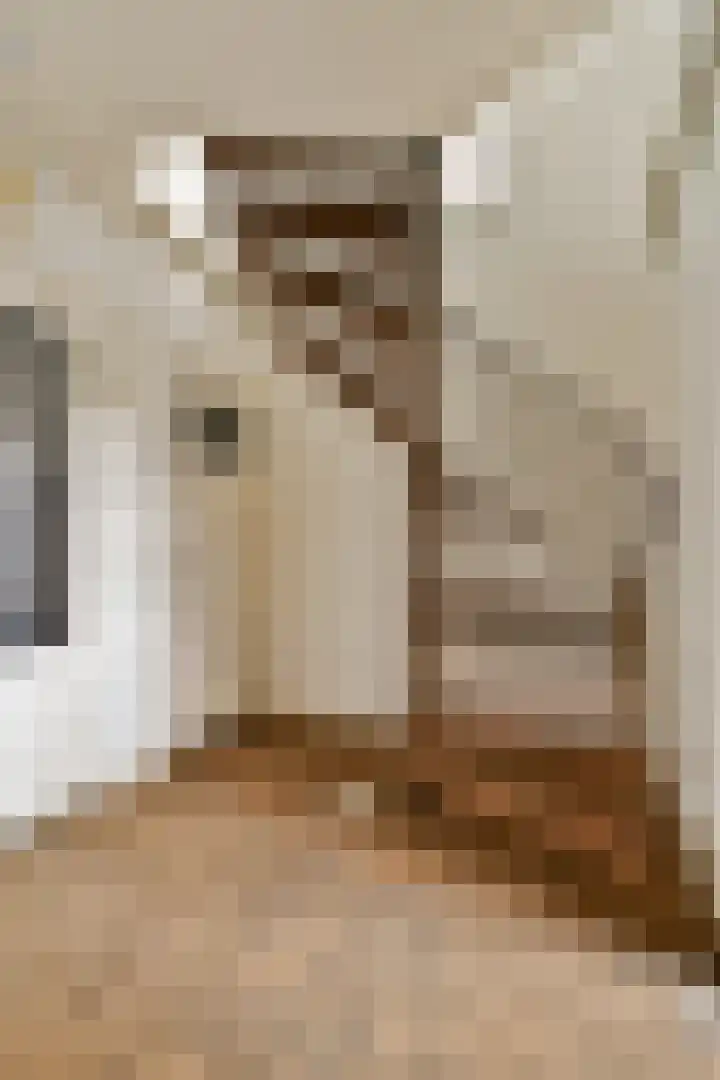 Bilderdijklaan 16 Amstelveen thumbnail 13