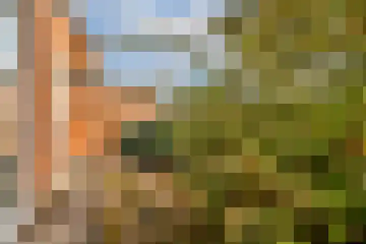 Bilderdijklaan 16 Amstelveen thumbnail 9