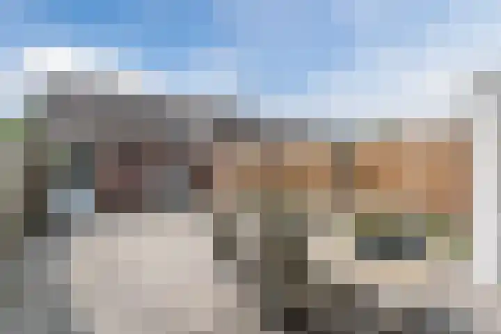 Bilderdijklaan 16 Bladel thumbnail 26