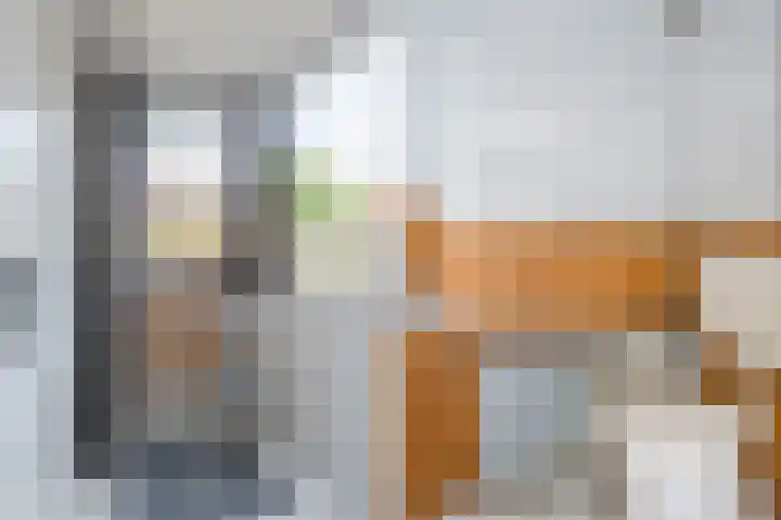 Bilderdijklaan 16 Bladel thumbnail 4