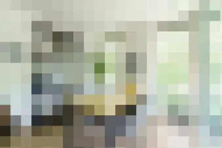 Bilderdijklaan 17 Amstelveen thumbnail 10