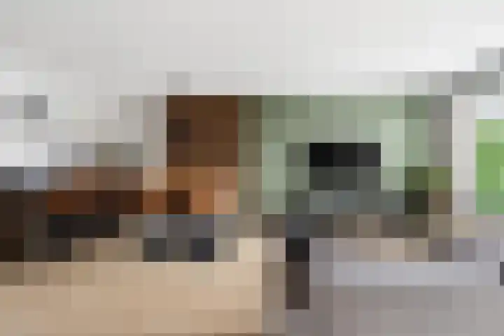 Bilderdijklaan 17 Amstelveen thumbnail 16