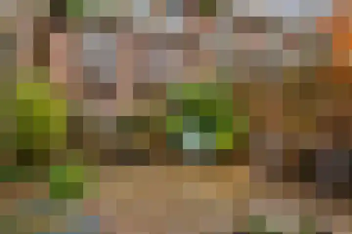 Bilderdijklaan 17 Amstelveen thumbnail 6