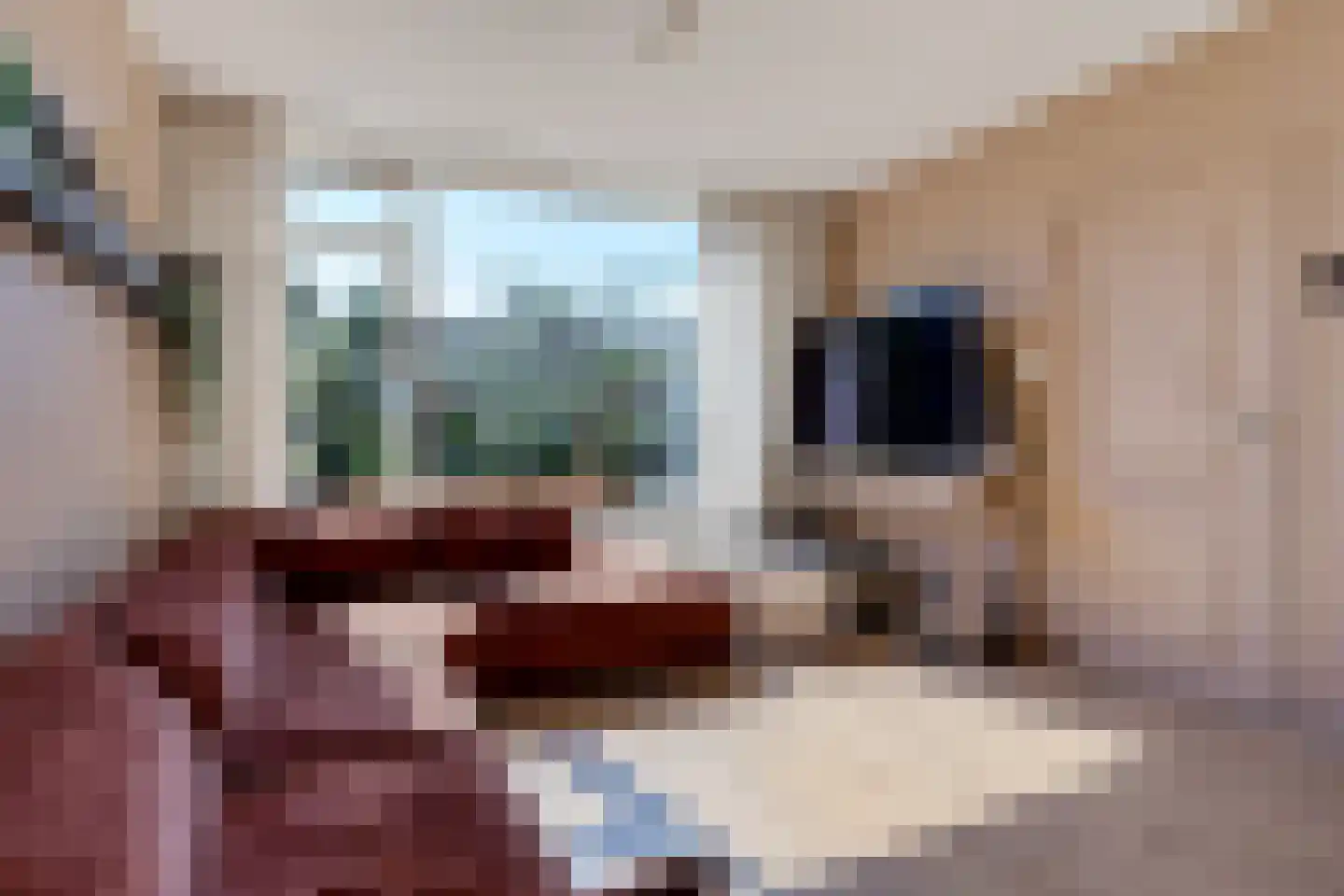 Bilderdijklaan 19 Uithoorn thumbnail 11