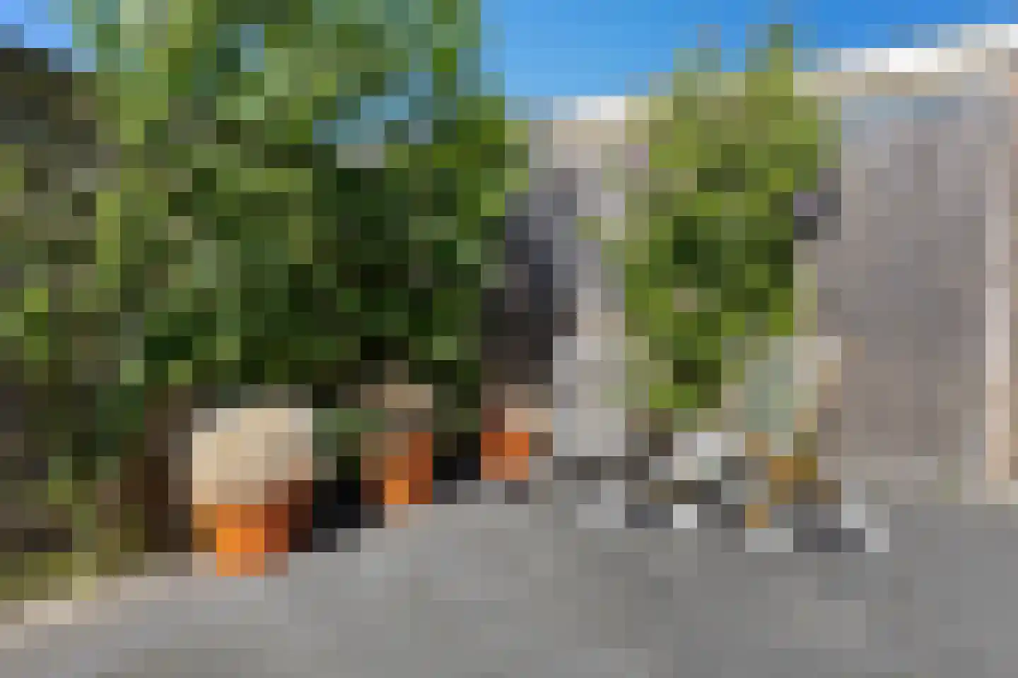 Bilderdijklaan 19 Uithoorn thumbnail 39