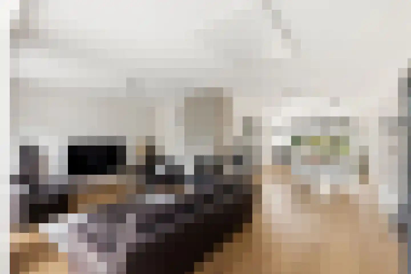 Bilderdijklaan 19 Vlissingen thumbnail 11