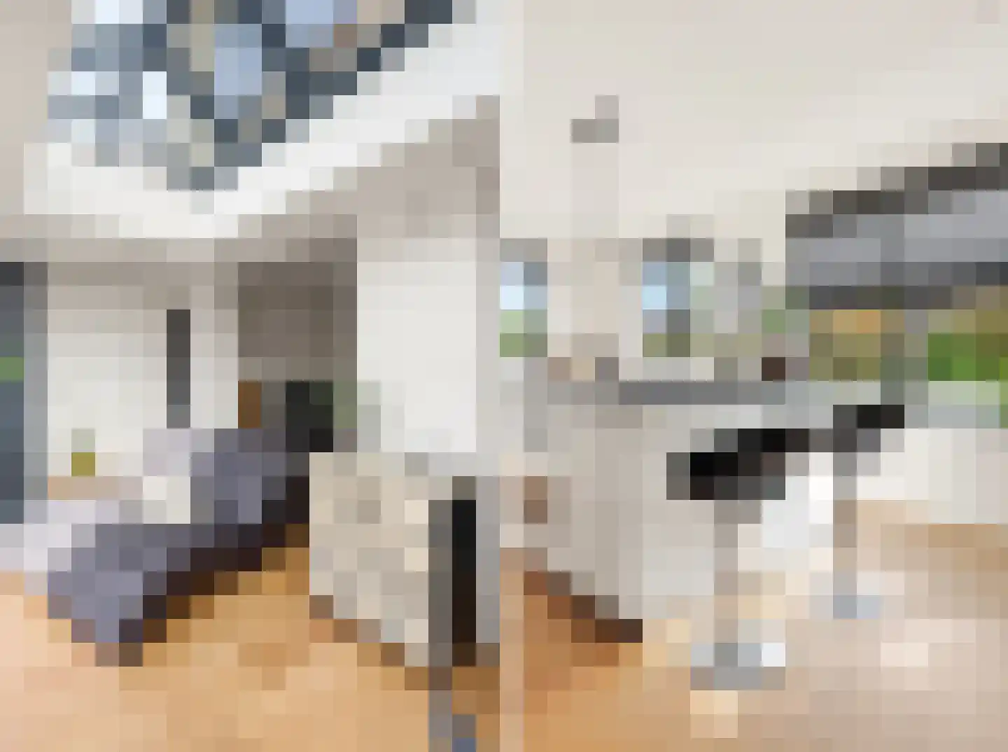 Bilderdijklaan 19 Vlissingen thumbnail 14