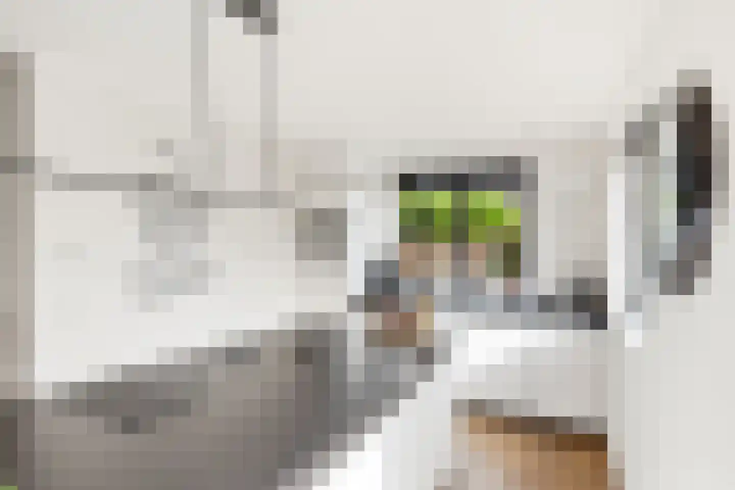Bilderdijklaan 19 Vlissingen thumbnail 21