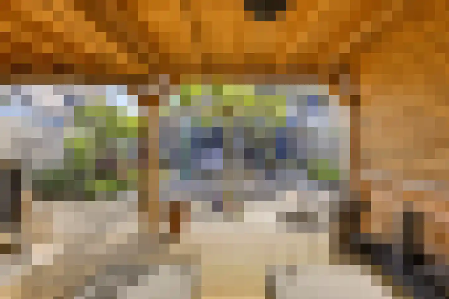Bilderdijklaan 19 Vlissingen thumbnail 30