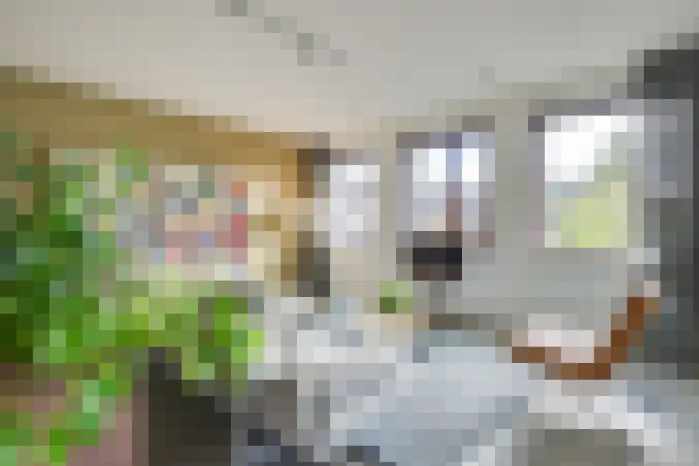 Bilderdijklaan 2 B Eindhoven thumbnail 10