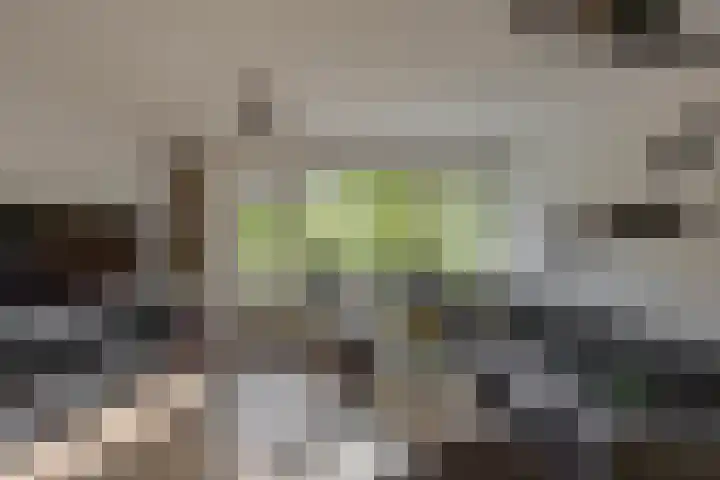 Bilderdijklaan 21 Groningen thumbnail 18