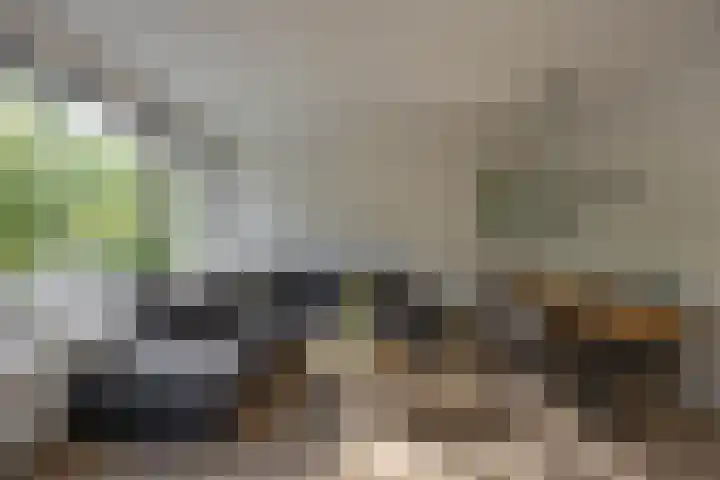 Bilderdijklaan 21 Groningen thumbnail 19
