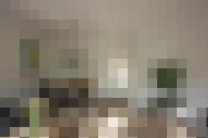 Bilderdijklaan 21 Groningen thumbnail 22