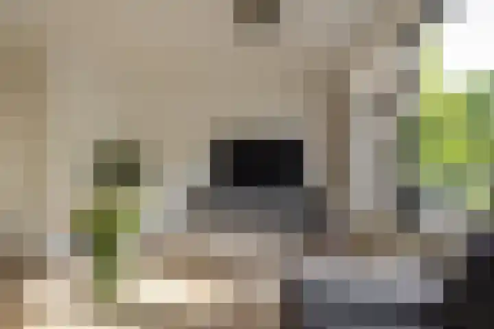 Bilderdijklaan 21 Groningen thumbnail 23