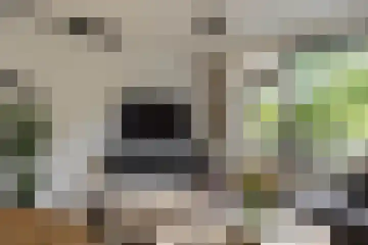 Bilderdijklaan 21 Groningen thumbnail 24