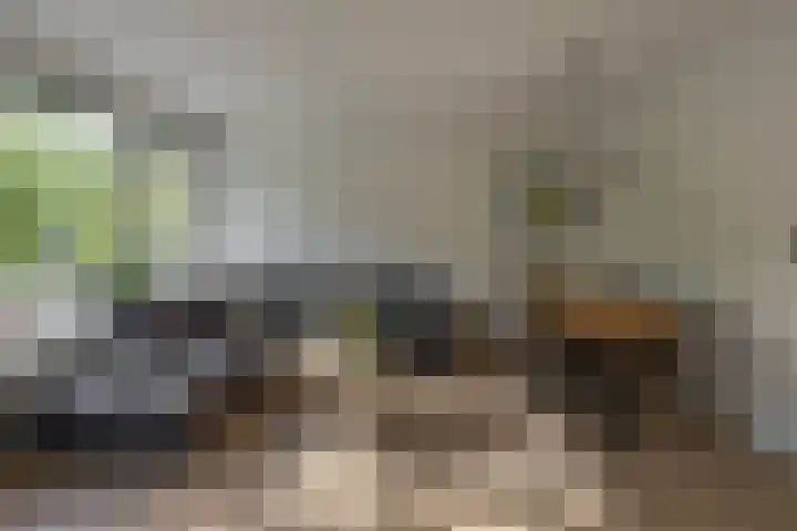 Bilderdijklaan 21 Groningen thumbnail 26