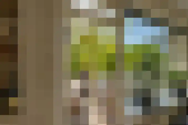 Bilderdijklaan 21 Groningen thumbnail 27