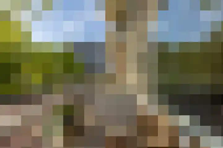 Bilderdijklaan 21 Groningen thumbnail 28
