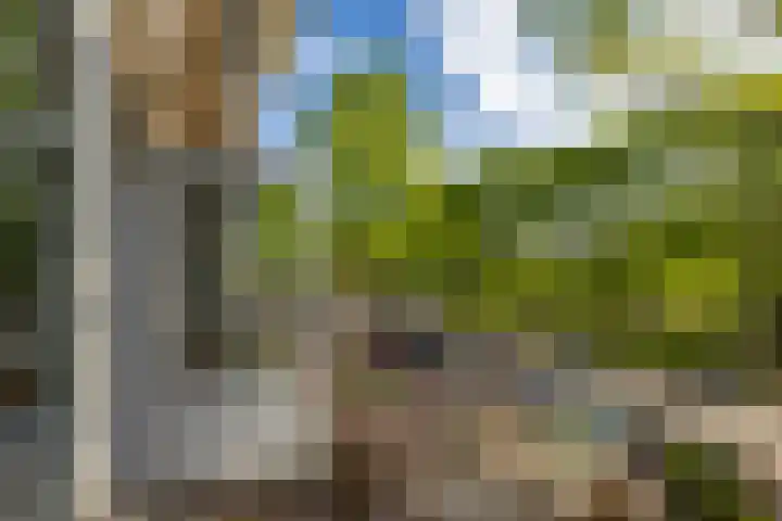 Bilderdijklaan 21 Groningen thumbnail 29