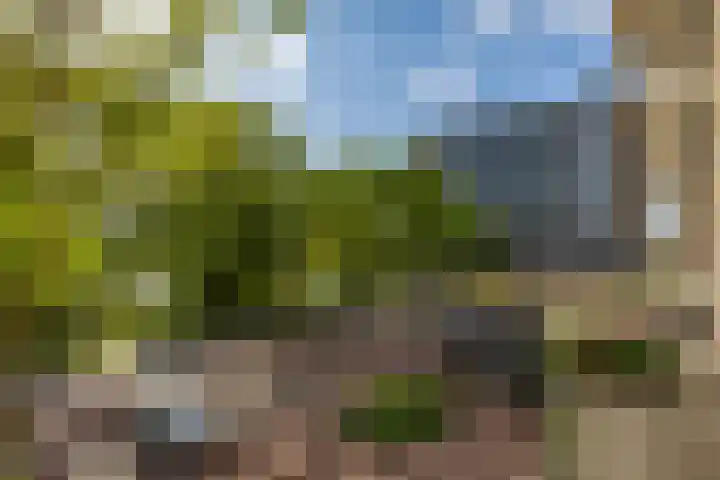 Bilderdijklaan 21 Groningen thumbnail 30