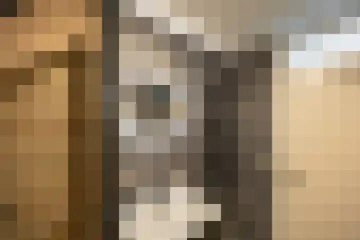 Bilderdijklaan 21 Groningen thumbnail 37
