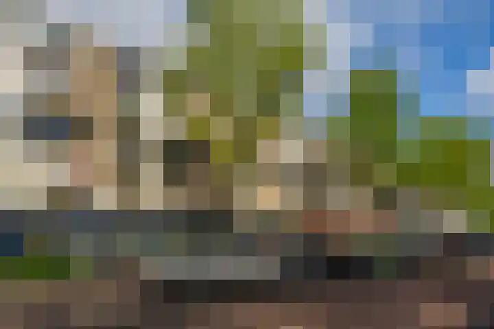 Bilderdijklaan 21 Groningen thumbnail 4