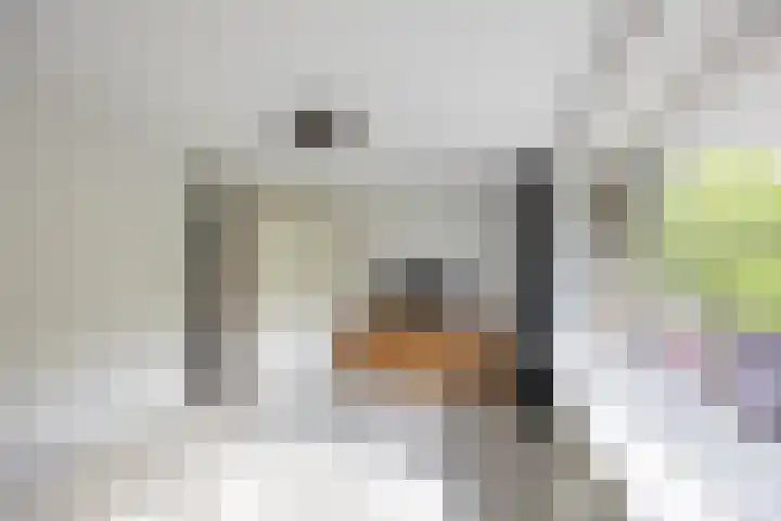 Bilderdijklaan 21 Groningen thumbnail 40