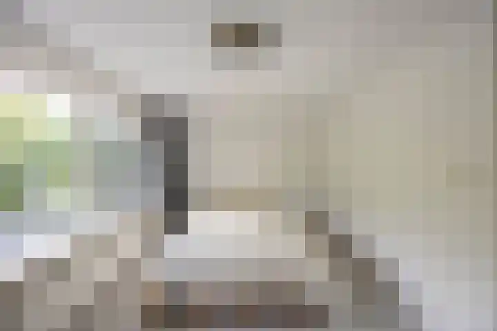 Bilderdijklaan 21 Groningen thumbnail 41