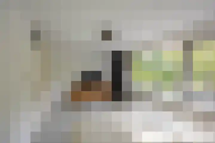Bilderdijklaan 21 Groningen thumbnail 42