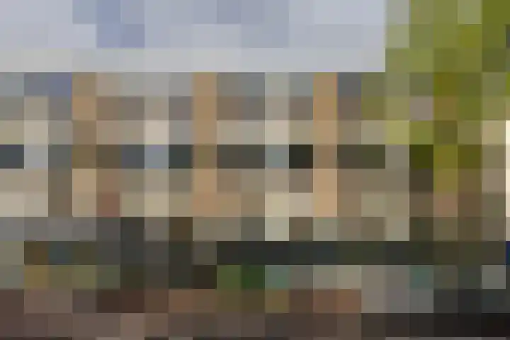 Bilderdijklaan 21 Groningen thumbnail 5