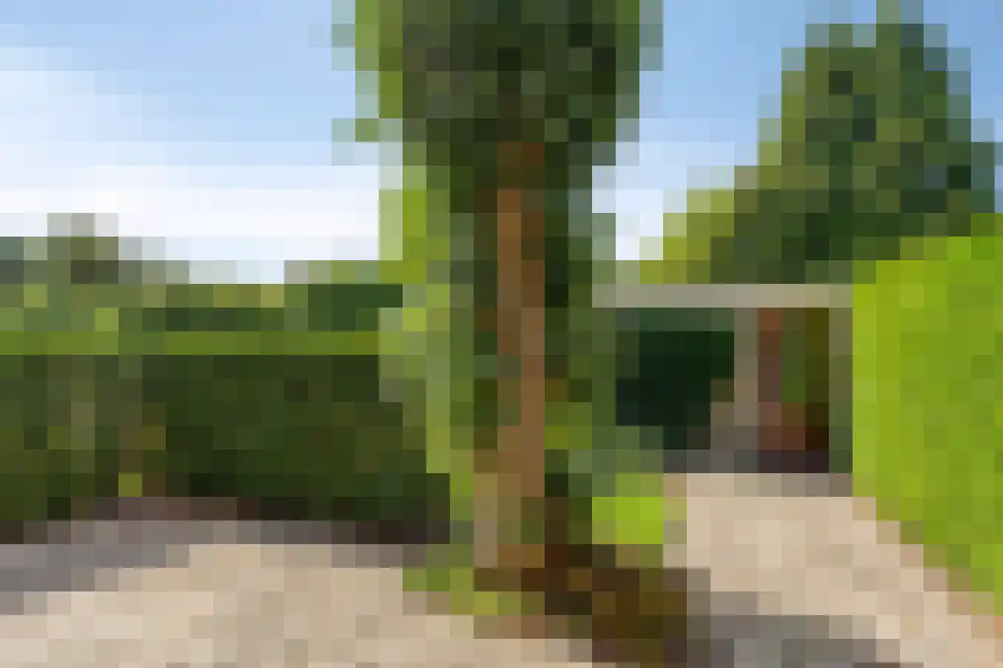 Bilderdijklaan 22 Haren Gn thumbnail 28