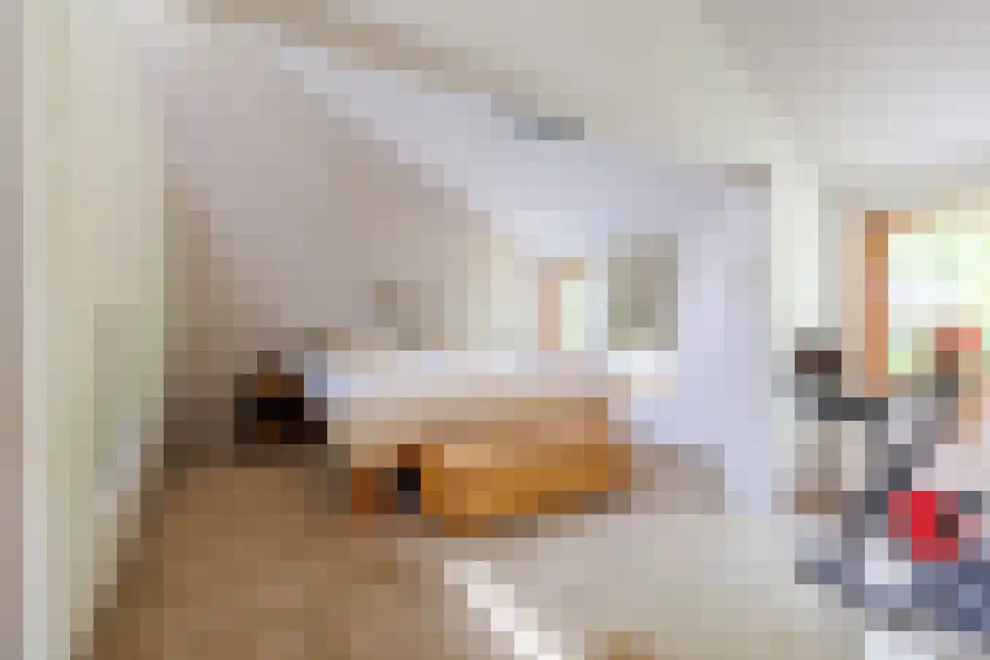 Bilderdijklaan 24 Apeldoorn thumbnail 16