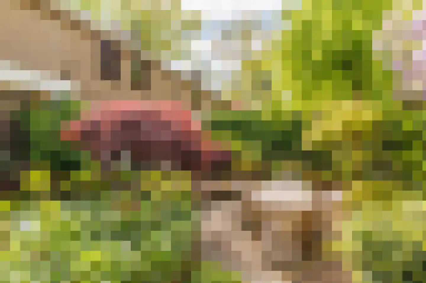 Bilderdijklaan 24 Apeldoorn thumbnail 28