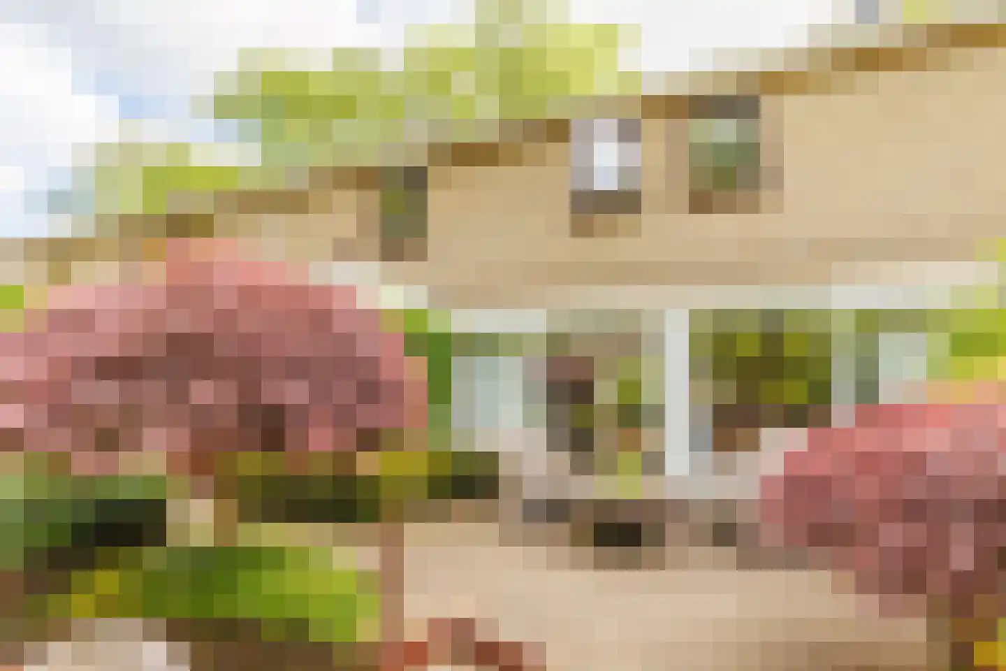 Bilderdijklaan 24 Apeldoorn thumbnail 30