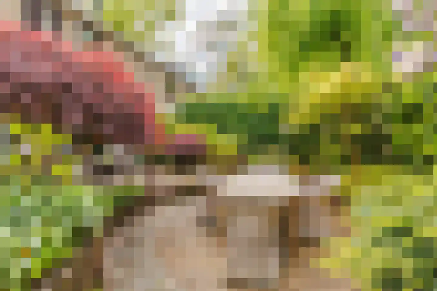 Bilderdijklaan 24 Apeldoorn thumbnail 31