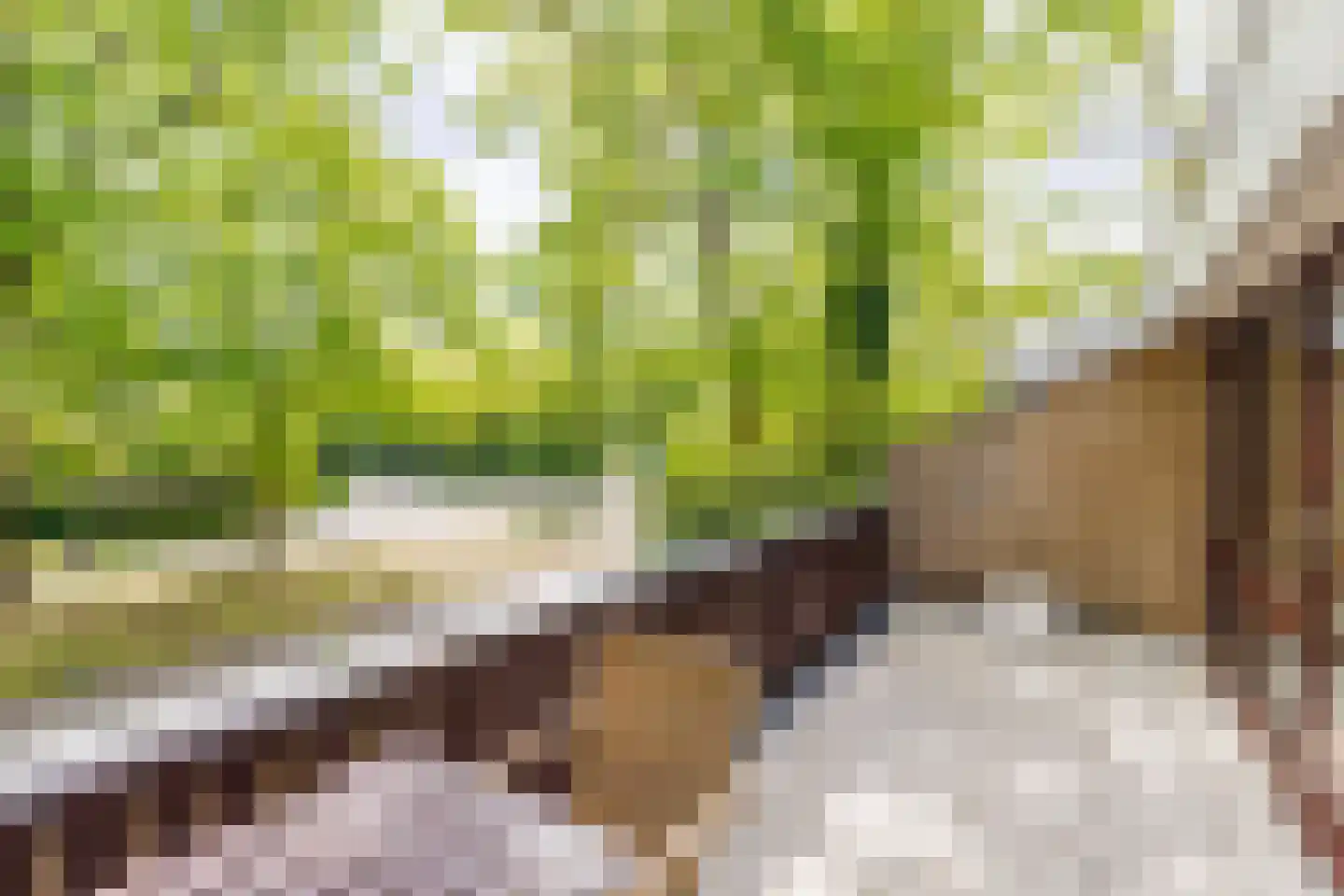 Bilderdijklaan 24 Apeldoorn thumbnail 32