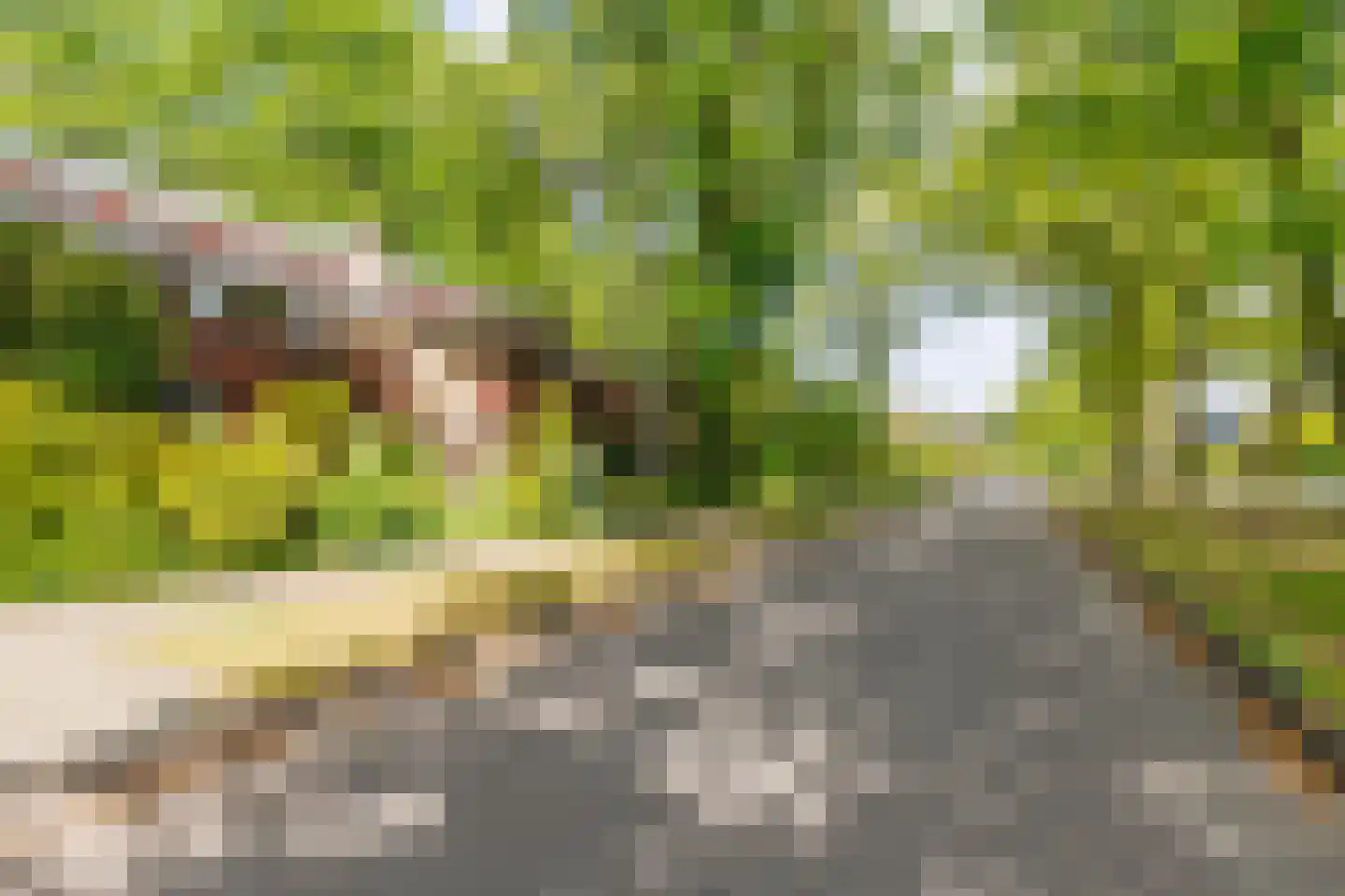 Bilderdijklaan 24 Apeldoorn thumbnail 35