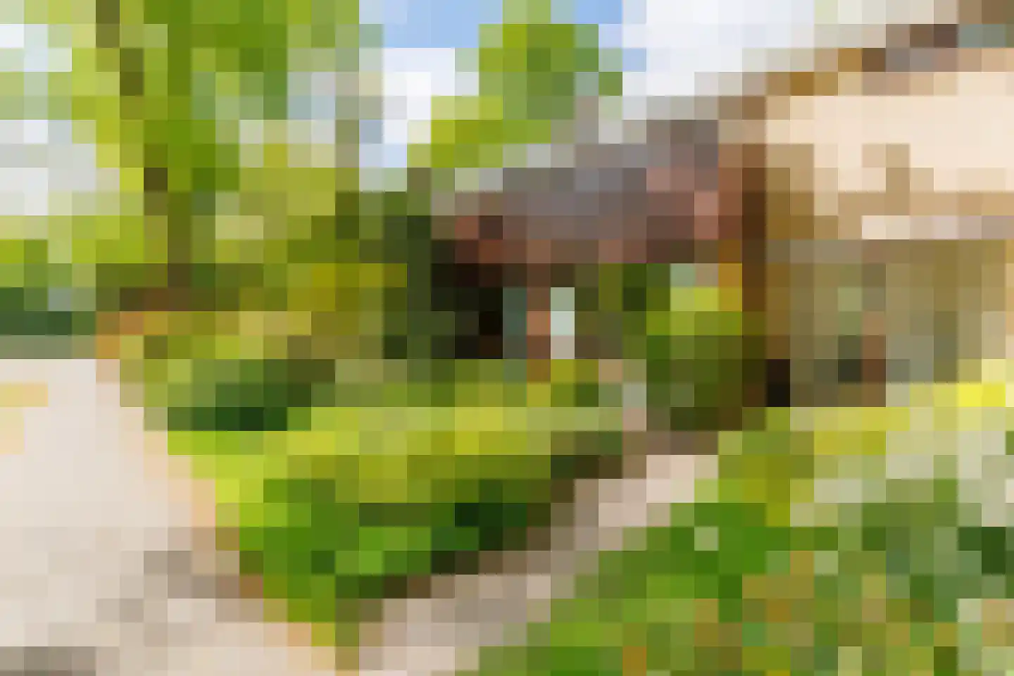 Bilderdijklaan 24 Apeldoorn thumbnail 37