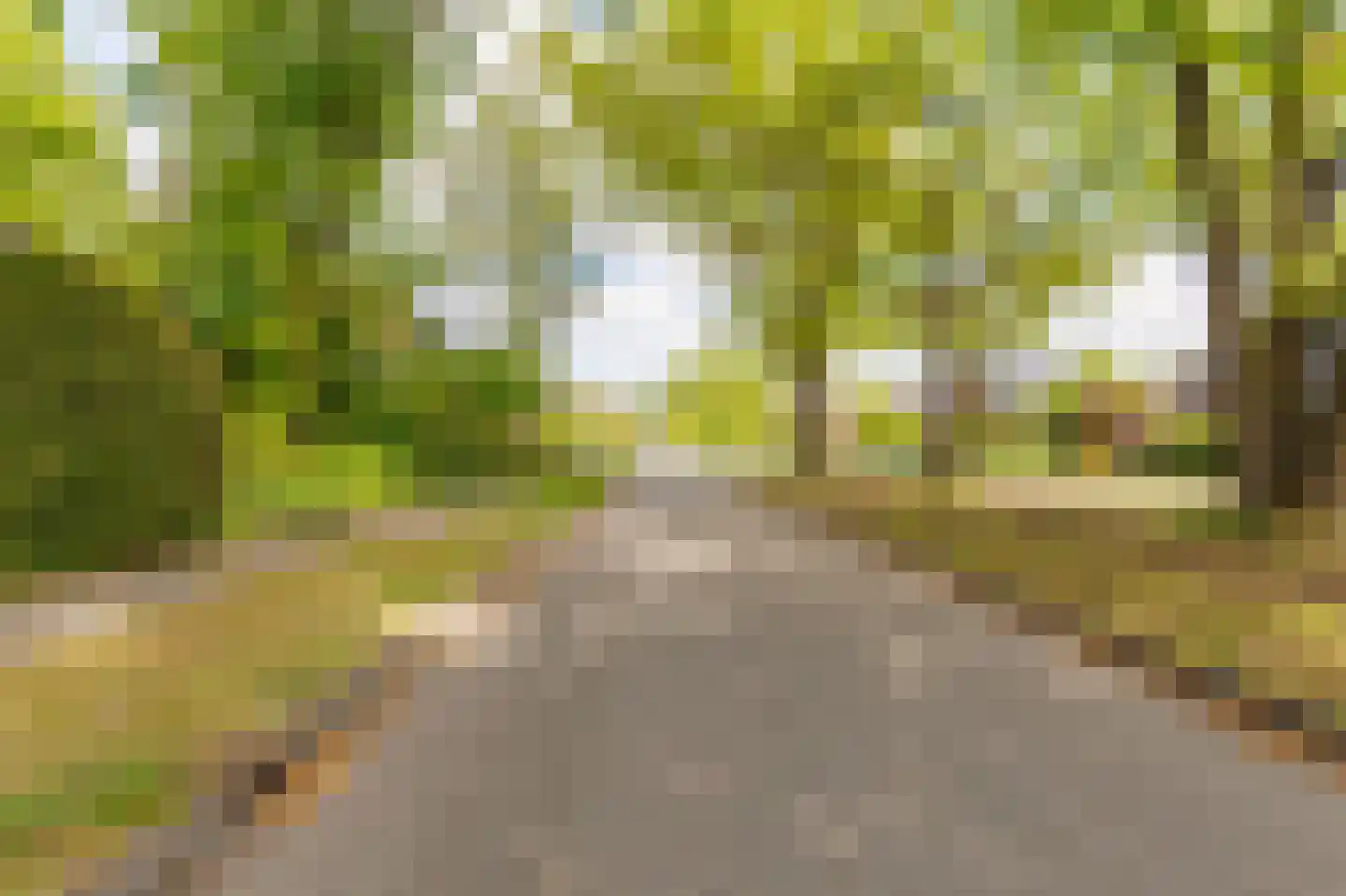 Bilderdijklaan 24 Apeldoorn thumbnail 38