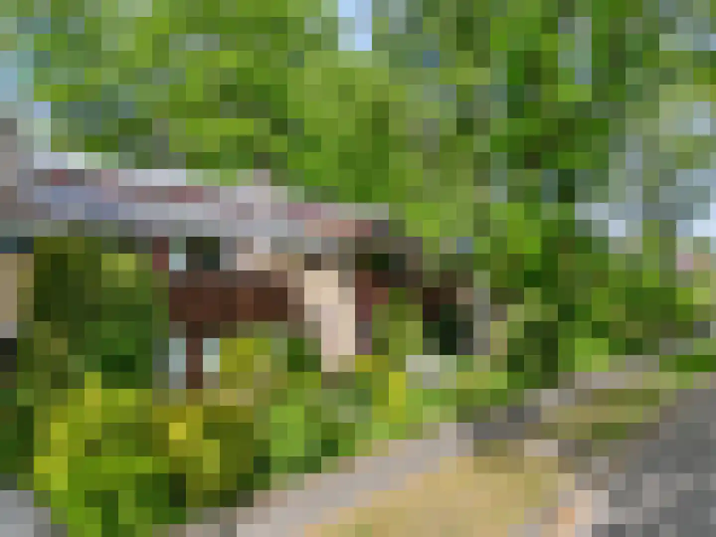 Bilderdijklaan 24 Apeldoorn thumbnail 39