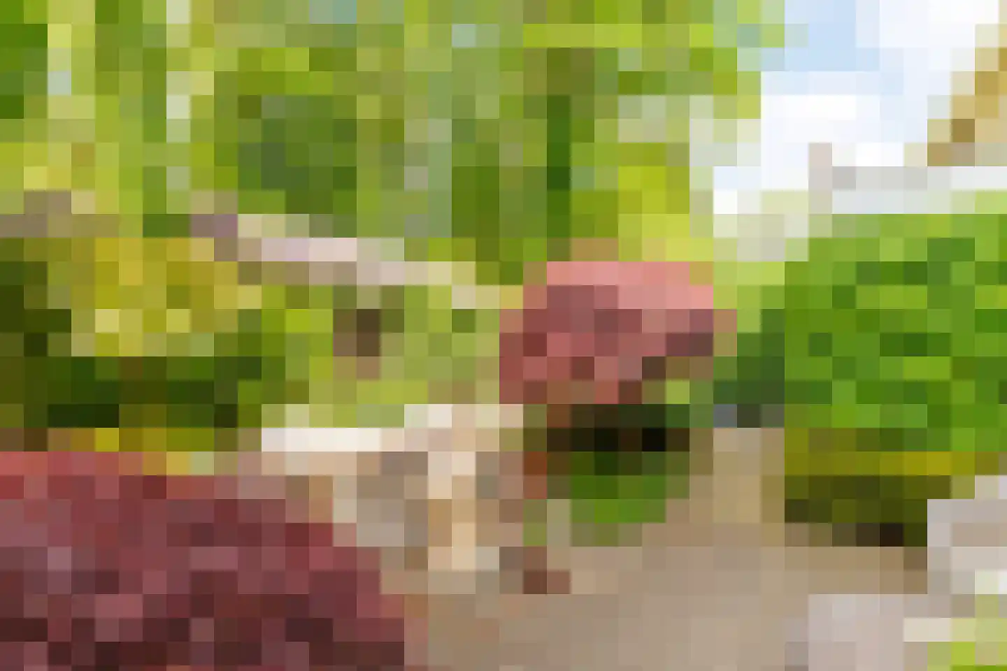 Bilderdijklaan 24 Apeldoorn thumbnail 4