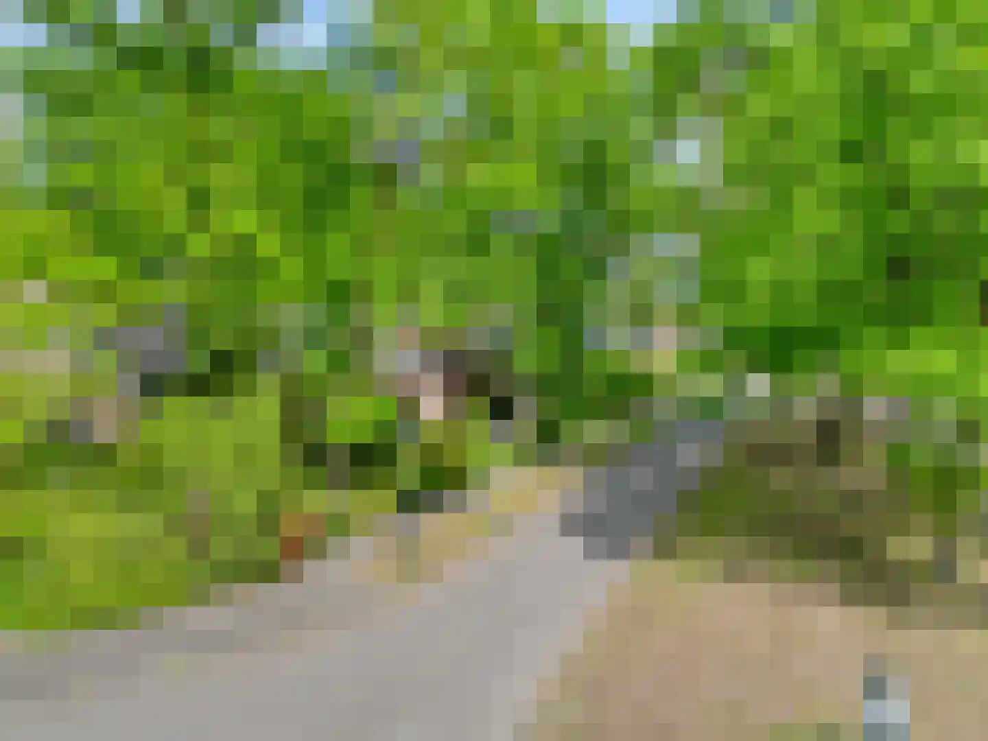 Bilderdijklaan 24 Apeldoorn thumbnail 42
