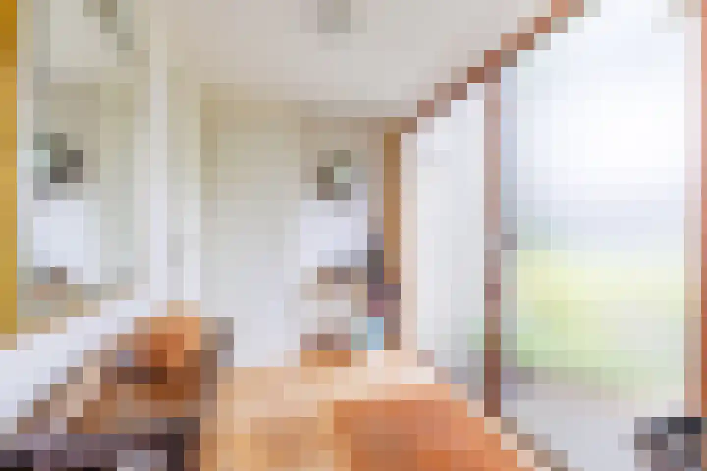 Bilderdijklaan 24 Apeldoorn thumbnail 7