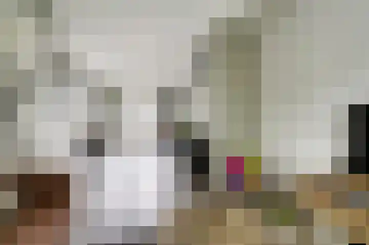 Bilderdijklaan 24 Hazerswoude-Rijndijk thumbnail 15